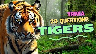 Tiger Quiz - Facts about Tigers - 20 Question Trivia