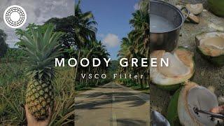 Moody Green VSCO Filter | vsco photo editing tutorial