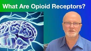 What are opioid receptors?