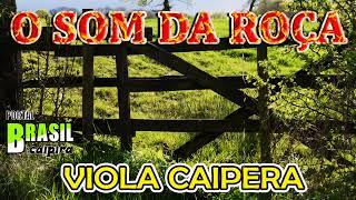  O SOM DA ROÇA - Viola Caipira/Sertanejo Raiz  Sertanejo 2024 ||  Modas De Viola e Sertanejo Raiz