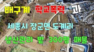 배구계 학교폭력과  세종시  장군면  도계리  생산관리지역  밭  300평  매물  [세종시참착한부동산]