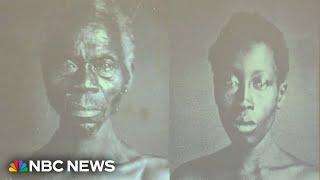 Harvard to give 175-year-old photos of enslaved people to South Carolina museum