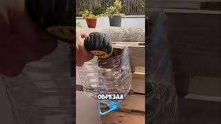 Вертикальная клумба своими руками