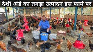 MBA Holder का देशी मुर्गी फार्म | Brown Egg Farm | Desi Egg | Desi Poultry Farming Business Plan