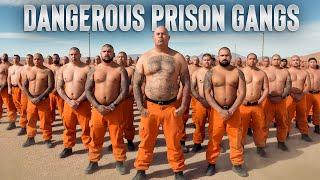 10 Most Dangerous Prison Gangs In The World