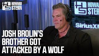 Josh Brolin’s Brother Got Attacked By a Wolf