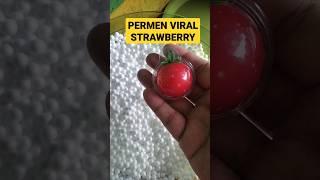 Wahhh..Ada permen Viral Strawberry #permenviral. #strawberry