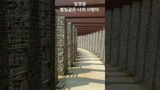 #임영웅 #별빛같은 나의사랑아 #트로트 #아름다운풍경 #노래