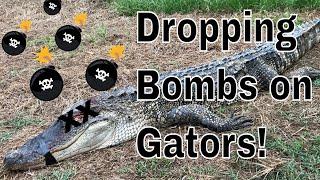 Bang Stick! Alligator Kill Shot - Alligator Hunting Equipment How To