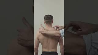 Watch the full version of Tom Quick's how to examine brachial plexus⬇️ #shorts #ortho