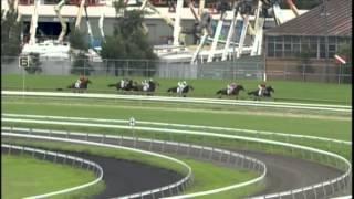 2007 - Ranvet Stakes - Desert War