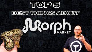 TOP 5 Best Things About MorphMarket w/ HB Reptiles