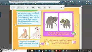 1st grade science animal life cycles