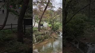 아름다운 진관사 계곡~ (jingwansa temple) #Korea #진관사 #사찰 # Jingwansa
