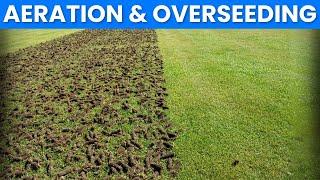 Aeration & Overseeding, WHY Blue Duck Lawn Care is DIFFERENT...