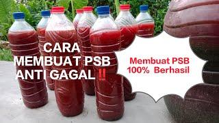 Cara membuat pupuk PSB (Photo Sinthetic Bacteria) anti gagal⁉️ Murah,mudah,bisa buat sendiri dirumah