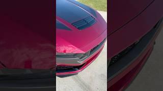 Molten  Metallic Magenta Darkhorse