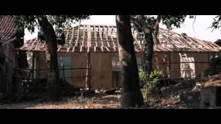 d-Bodhi film Old Wood New Life