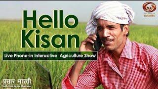 Hello Kisan : Live Phone-in Interactive Agricultural Show | Feb 01, 2024