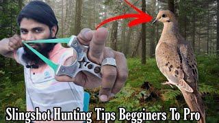 Pro Slingshot Hunting Tips & Tricks