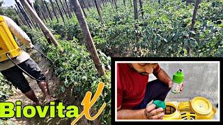 biovita x | seaweed extract pi biovita | multi micronutrients | Praveen Thakur