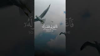 Heart warming Quran recitation ️ #quran