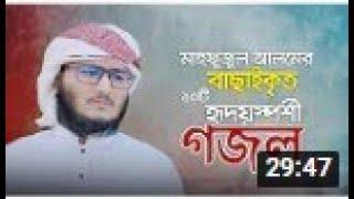 মাহফুজুল আলমের বাছাই করা ১০টি গজল | Mahfuzul Alam kalarab | মাহফুজুল আলম কলরব |