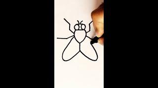 How to Draw a Fly #art #drawing #shorts #fyp