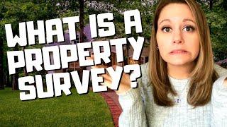 What is a Property Survey?