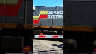 Seaboard System CSX heritage unit (with slow motion replay)