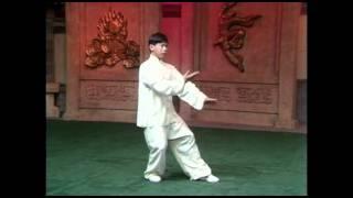 103 movements Yang Style Tai Chi form performed by Yang Jun