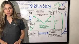 PARKINSON vía directa y vía indirecta - afección en los núcleos de la base