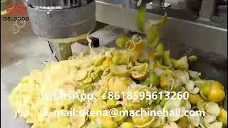Industrial Citrus Juicer Machine|Industrial Fruit Juice Extractor Machine