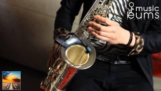 Saxophonist SJ 'stop it' cover SJBAND boss Vocal Performer VE 5 effetor electronica jazz sax play