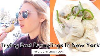 The ULTIMATE NYC Dumpling Tour | Ranking BEST dumplings in NYC