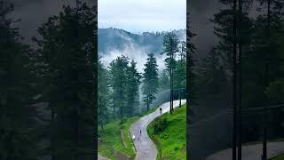 MURREE After Rain ️ #mountains #explore #travel  #murree #pakistan