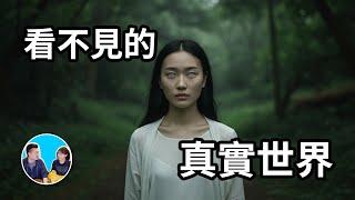 人類不能知道的真相，因為知道真相後人類將會滅絕 | 老高與小茉 Mr & Mrs Gao