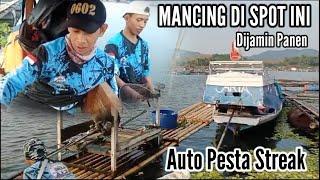 MANCING CIRATA TERBARU SPOT PATOK BESI TERKINI || AUTO PESTA STREAK LAGI@STREAKFISHING