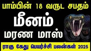 18 வருடங்களுக்கு பிறகு வரலாறு படைக்கும்மீனம் | ராகு கேது பெயர்ச்சி பலன்கள் 2025 #Rahu_Ketu #meenam