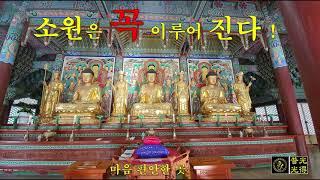 【소원성취기도】금전운 과 소원을 들어주는 불경 (마음 편안한 곳/GwangDeokTemple) ##福Tube복튜브 #마음편안한곳 一切唯心造