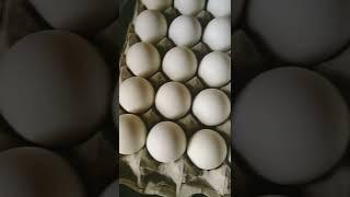 eggs unboxing review/eggs online/ mom the wonderchef