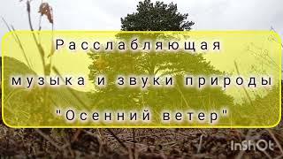 relax видео. Звуки природы и музыка для медитации и расслабления. Живая Вода - "Осенний Ветер"