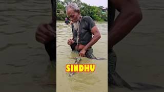 Village Boys Hand Fishing in Shallow River Water #Shorts