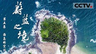 《蔚蓝之境》 第五集 在中国近海的岛屿存活着哪些神秘的生物?它们又是如何在岛屿上进化和生存的？【CCTV纪录】