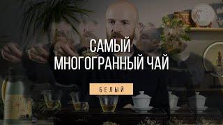 БЕЛЫЙ КИТАЙСКИЙ ЧАЙ - МИФЫ, ЛЕГЕНДЫ, РЕАЛЬНЫЕ ФАКТЫ