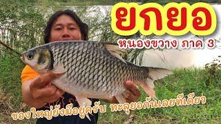 ยกยอ ปลานวนจันเกือบได้แล้ว ►Fishing lifestyle Ep.764