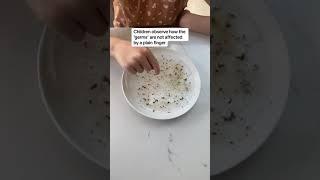 'Germs' Experiment for kids #experiments