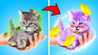 I Saved Poor Homeless Kitten! Useful Hacks for Pet Owners