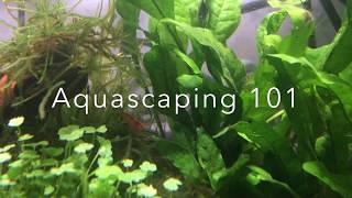 Aquascaping 101 Trailer