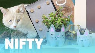 9 DIY Projects For Cat Owners